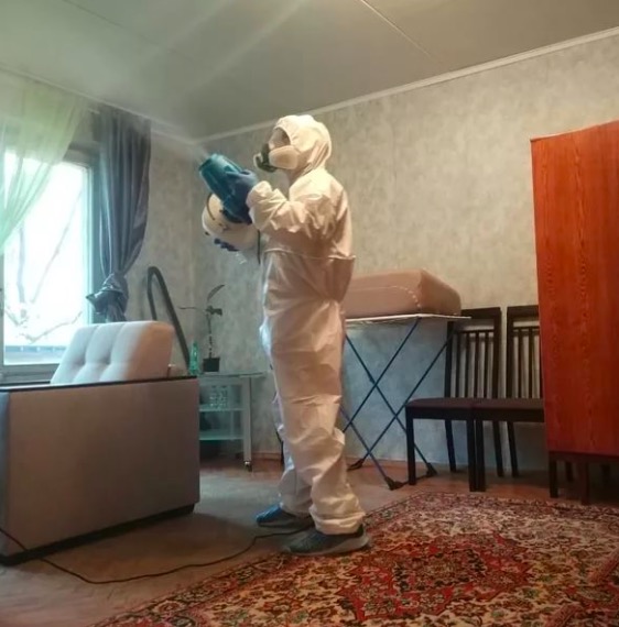 дезинсекция квартиры в Камышлове